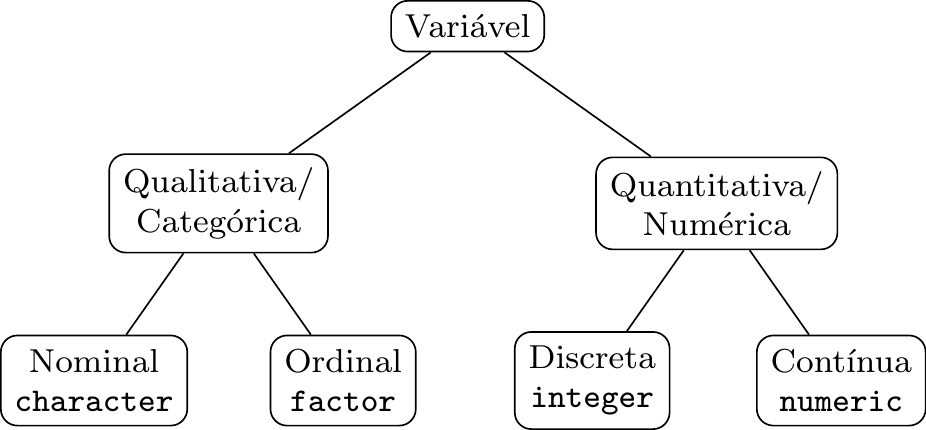 Uma possível classificação das variáveis.